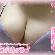 ヒメ日記 2025/03/09 00:45 投稿 りこ PINK PLANET