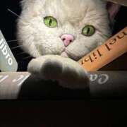 ヒメ日記 2025/03/04 20:06 投稿 高橋りか セクシーキャット 神田店