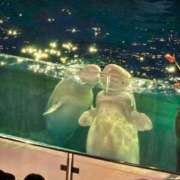 ヒメ日記 2025/03/24 09:39 投稿 高橋りか セクシーキャット 神田店