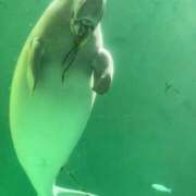 ヒメ日記 2025/04/05 23:21 投稿 高橋りか セクシーキャット 神田店