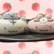 ヒメ日記 2025/05/22 23:52 投稿 高橋りか セクシーキャット 神田店