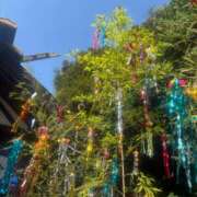 ヒメ日記 2025/07/06 00:42 投稿 高橋りか セクシーキャット 神田店