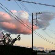 ヒメ日記 2025/08/02 19:43 投稿 高橋りか セクシーキャット 神田店