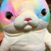 ヒメ日記 2025/08/06 01:10 投稿 高橋りか セクシーキャット 神田店