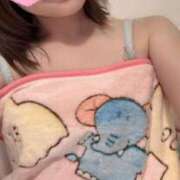 高橋りか 🐰🐱🐻‍❄️🐼💕 セクシーキャット 神田店