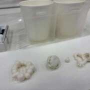 ヒメ日記 2026/02/23 20:44 投稿 高橋りか セクシーキャット 神田店