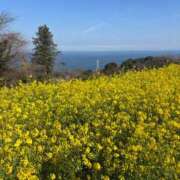 高橋りか 🍀💕 セクシーキャット 神田店