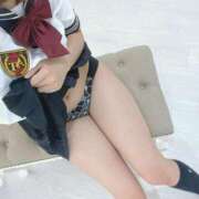 ヒメ日記 2025/04/08 09:48 投稿 はるな先生 アロー