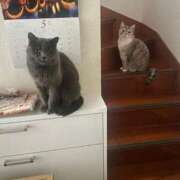 ヒメ日記 2025/07/21 19:35 投稿 はるな先生 アロー