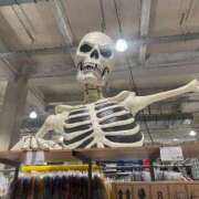 ヒメ日記 2025/08/23 13:48 投稿 はるな先生 アロー