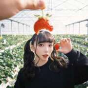 ヒメ日記 2026/04/16 20:18 投稿 はるな先生 アロー