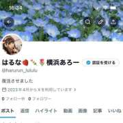 ヒメ日記 2026/04/18 16:37 投稿 はるな先生 アロー