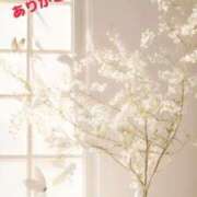 ヒメ日記 2025/04/17 23:34 投稿 莉茉(りま) 高知デリヘル倶楽部 人妻熟女専門店