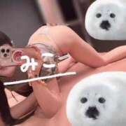 ヒメ日記 2025/02/17 17:45 投稿 みこ お客様満足度NO.1デリヘル！ 秘密倶楽部 凛 千葉