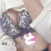 ヒメ日記 2025/04/24 12:03 投稿 みそら 那須塩原人妻花壇