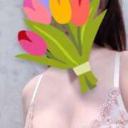 ヒメ日記 2025/12/28 09:21 投稿 れん ニューグランド