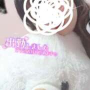 ヒメ日記 2026/02/11 11:48 投稿 ゆり モアグループ 土浦人妻花壇