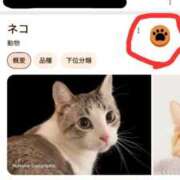 ヒメ日記 2025/03/07 12:35 投稿 皆川 華恋人(カレント)