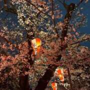 ヒメ日記 2025/04/14 14:42 投稿 皆川 華恋人(カレント)