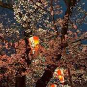 ヒメ日記 2025/04/14 18:31 投稿 皆川 華恋人(カレント)