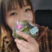 ヒメ日記 2025/04/01 09:12 投稿 藤原 モアグループ所沢人妻城