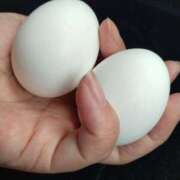 ヒメ日記 2025/04/18 09:42 投稿 藤原 モアグループ所沢人妻城