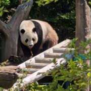 ヒメ日記 2025/06/02 12:57 投稿 藤原 モアグループ所沢人妻城
