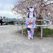 ヒメ日記 2025/04/09 12:41 投稿 りつ 熟女の風俗最終章 相模原店