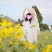 ヒメ日記 2025/04/24 01:01 投稿 りつ 熟女の風俗最終章 町田店