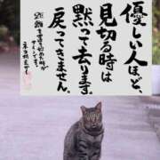 ヒメ日記 2026/02/12 14:24 投稿 りつ 熟女の風俗最終章 町田店