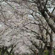 ヒメ日記 2025/03/27 20:38 投稿 帆波(ほなみ) 厚木奥様Life