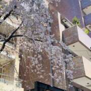 ヒメ日記 2025/04/04 14:47 投稿 帆波(ほなみ) 厚木奥様Life