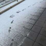 ヒメ日記 2026/02/08 12:48 投稿 帆波(ほなみ) 厚木奥様Life