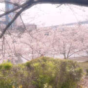 ヒメ日記 2026/03/30 17:23 投稿 帆波(ほなみ) 厚木奥様Life