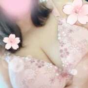 ヒメ日記 2026/04/03 10:01 投稿 浅田 美香 こあくまな熟女たち沼津店（KOAKUMAグループ）