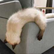 ヒメ日記 2025/02/16 22:55 投稿 るみね 熟女家 ミナミエリア店