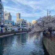 ヒメ日記 2026/04/04 14:28 投稿 あさみ 小田原人妻城