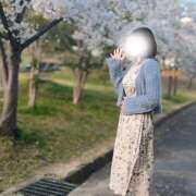 ヒメ日記 2025/04/05 17:32 投稿 一ノ瀬　かな 出張メンズエステ ロマンスSPA 奈良