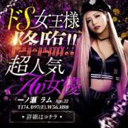 ヒメ日記 2025/11/26 05:54 投稿 一ノ瀬ラム SM・M性感・ニューハーフ Club EMBASSY(クラブエンバシー)岡山店