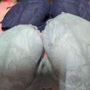 ヒメ日記 2025/03/18 22:20 投稿 こゆき 福盛