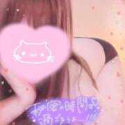 ヒメ日記 2025/01/30 16:32 投稿 らいは 香川サンキュー