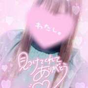 ヒメ日記 2025/02/01 23:52 投稿 らいは 香川サンキュー