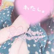 ヒメ日記 2025/02/03 16:41 投稿 らいは 香川サンキュー