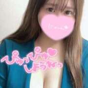 ヒメ日記 2025/02/05 15:18 投稿 らいは 香川サンキュー