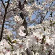 ヒメ日記 2026/04/08 15:26 投稿 るき club さくら日本橋店