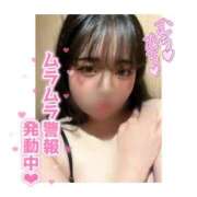 ヒメ日記 2025/02/12 12:08 投稿 あいな 大高・大府市・東海市ちゃんこ