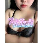 ヒメ日記 2025/05/21 17:04 投稿 あいな 大高・大府市・東海市ちゃんこ