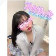 ヒメ日記 2025/08/24 19:23 投稿 あいな 大高・大府市・東海市ちゃんこ