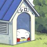 かおり 🙇🏻‍♀️‪‪ New Sky