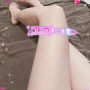 ヒメ日記 2025/02/02 14:19 投稿 まなか アネックスジャパン